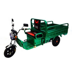 Triciclo Elétrico Emart Car