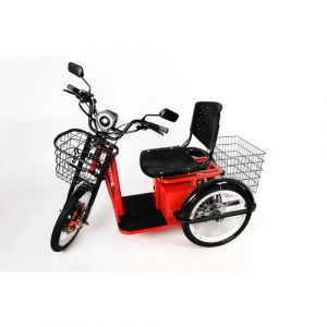 Triciclo Elétrico 800W Smart Brasil Com Suspensão Independente e Ré Vermelho