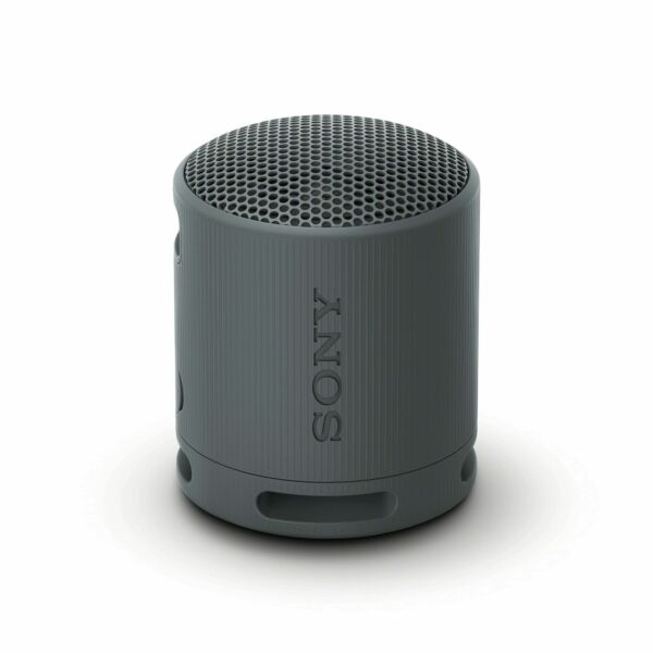 Caixa de Som Bluetooth Sony SRS-XB100
