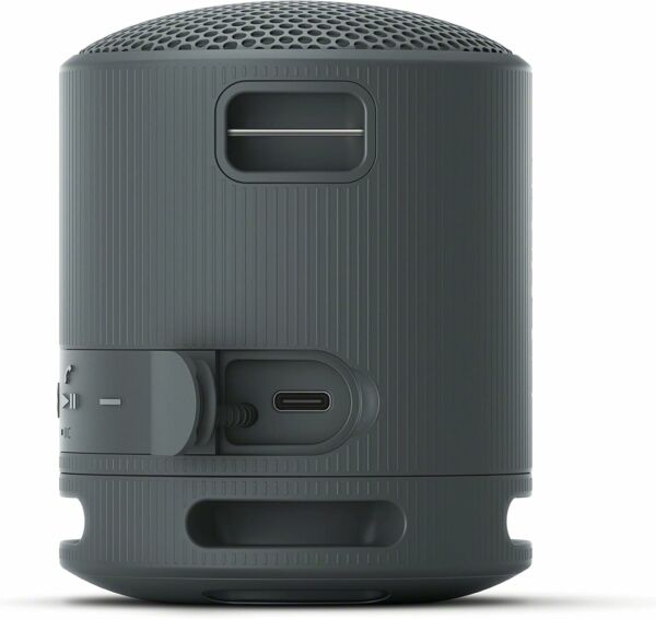 Caixa de Som Bluetooth Sony SRS-XB100 - Imagem 3