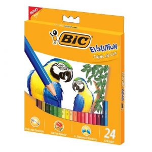 BIC Evolution 902638, Lápis de Cor Sextavado, 24 Cores