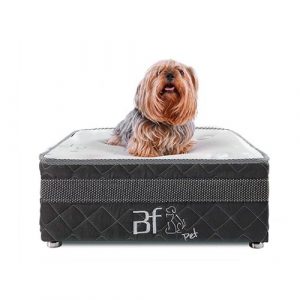 Caminha Box Pet Para Cachorros E Gatos + Lençol Impermeável Bf Colchões