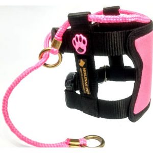 Coleira Illusion, Modelo Encantador De Cães, Premium - M Rosa